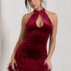 Tillie | Berry Velvet High Neck Trapeze Mini Dress With Feather Hem Detail -Sangyong Store WB CC CL128810064 TillieBerryVelvetHighNeckTrapezeMiniDressWithFeatherHemDetail1