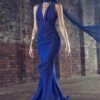 Whimsical | Blue Chiffon Plunge Fishtail Maxi Dress With Scarf Design
