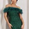 New Money | Green Bodycon Sequin Mini Dress With Feather Trim